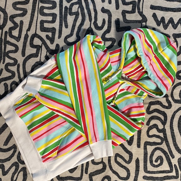 CHAMPION 🍉 WATERMELON MULTICOLOR HOODIE - Picture 4 of 5